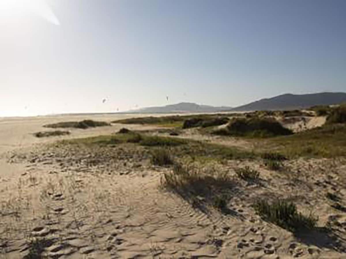 Apartamento Tarifa céntrico y cerca de la playa Exterior foto